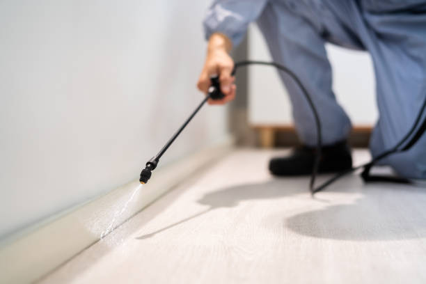 Licensed Pest Control service in Hayden, CO - Show Me Pest Control