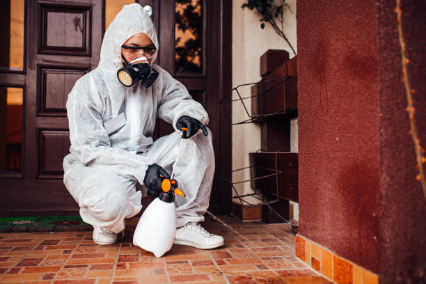 Reliable Mosquito Control contractor in Hayden, CO by Show Me Pest Control